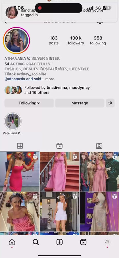 Swan Pink Silhouette